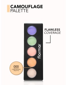 Camouflage Palette Concealer